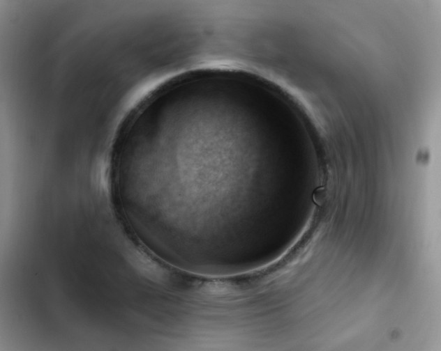X0000102871319200808181457