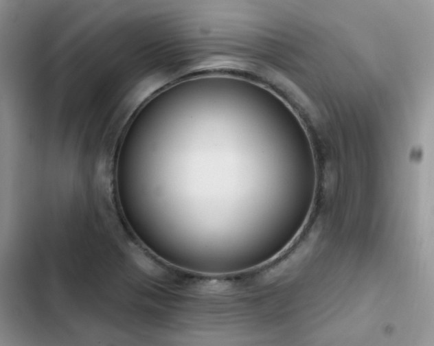 X0000102871321200808181457