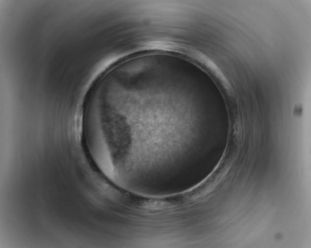 X0000102871323200808181457