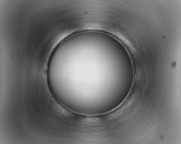 X0000102871325200808181457