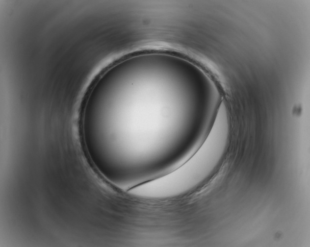 X0000102871326200808181457