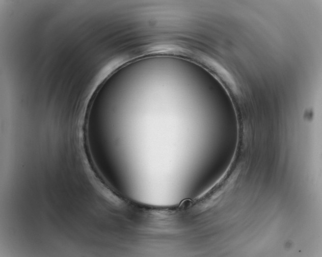 X0000102871330200808181457