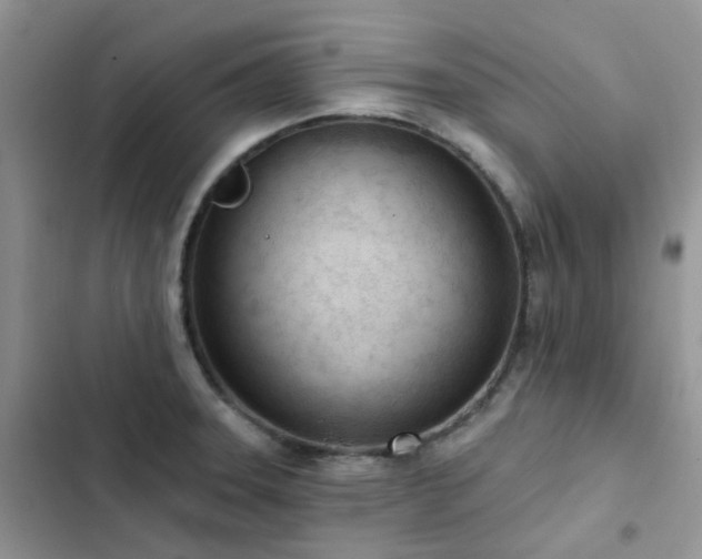 X0000102871331200808181457