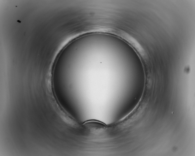 X0000102871332200808181457