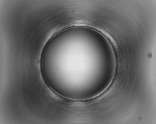 X0000102871333200808181457