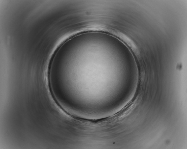 X0000102871334200808181457