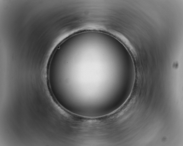 X0000102871335200808181457