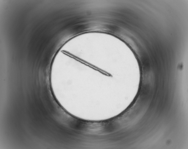 X0000102871338200808181457