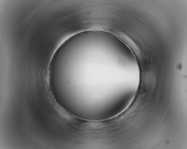 X0000102871340200808181457