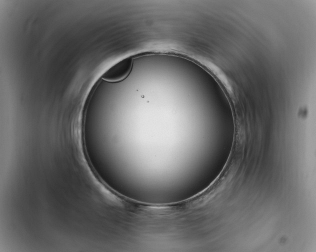 X0000102871343200808181457