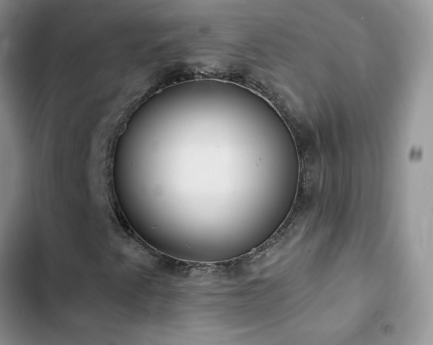 X0000102871345200808181456