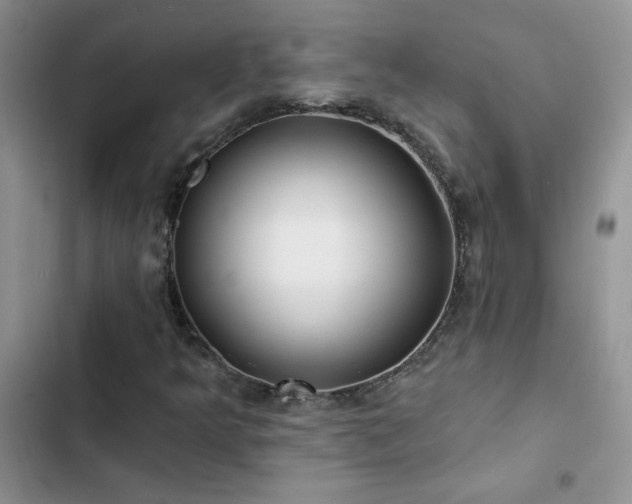 X0000102871349200808181456