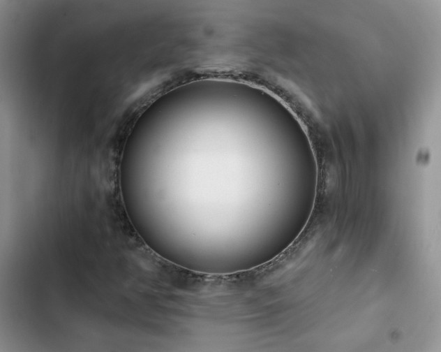 X0000102871350200808181456