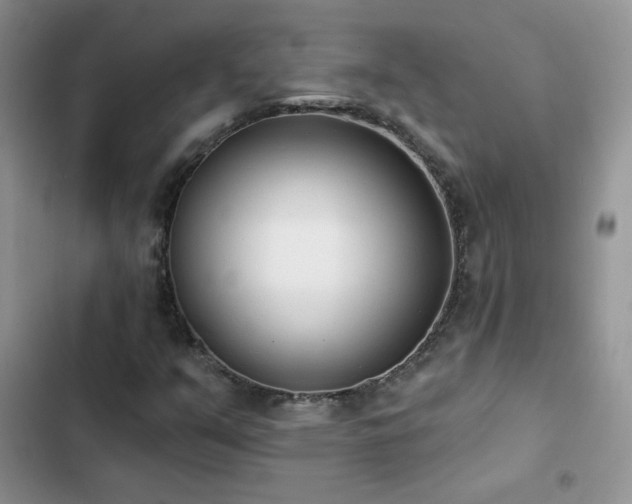 X0000102871351200808181456