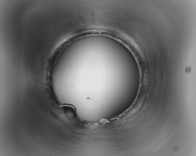 X0000102871352200808181456