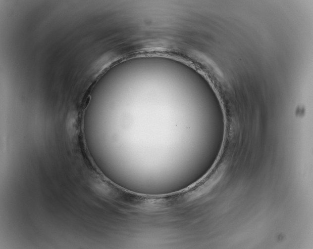 X0000102871353200808181456