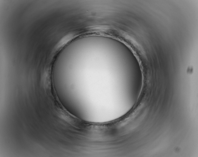 X0000102871354200808181456