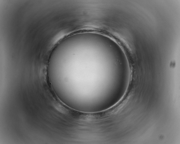 X0000102871355200808181456