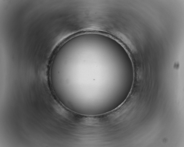 X0000102871356200808181456