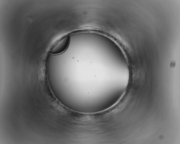 X0000102871358200808181456