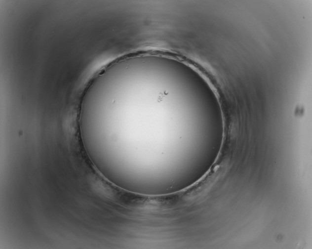 X0000102871359200808181456
