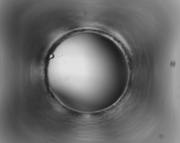 X0000102871360200808181456