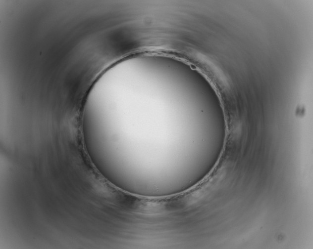 X0000102871361200808181456