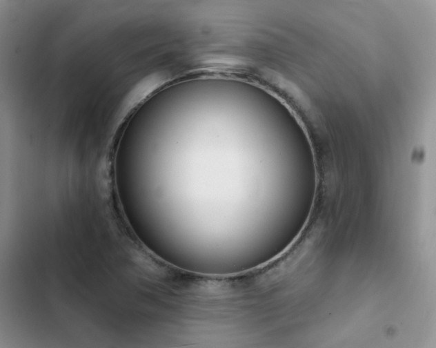 X0000102871362200808181456
