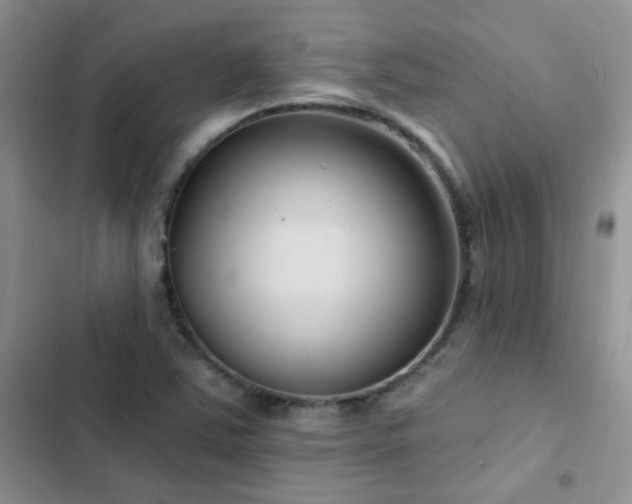 X0000102871363200808181456