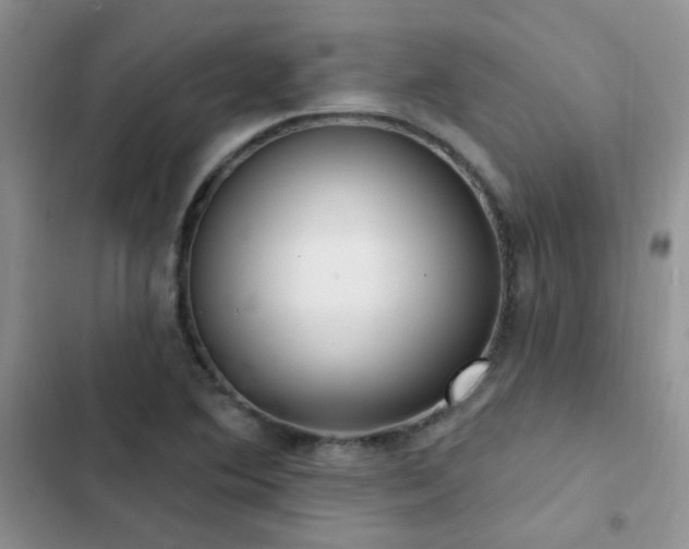 X0000102871364200808181456