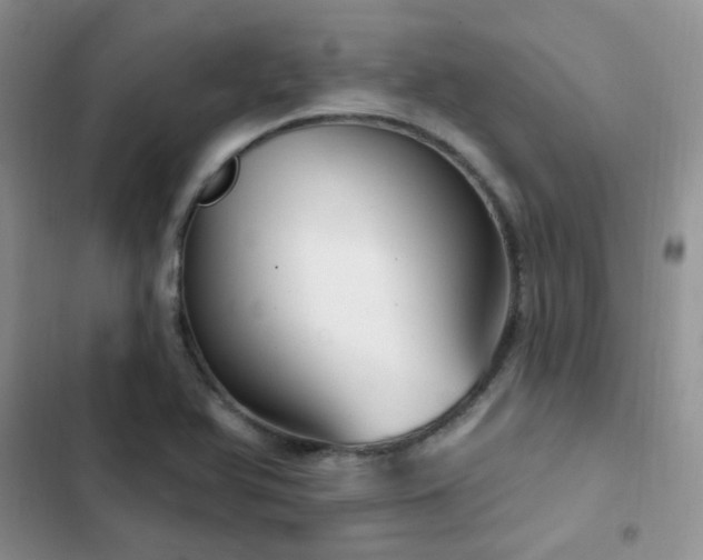 X0000102871366200808181456