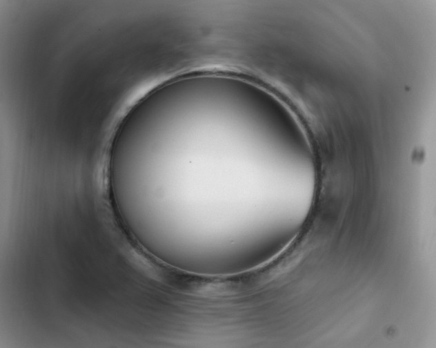 X0000102871367200808181456