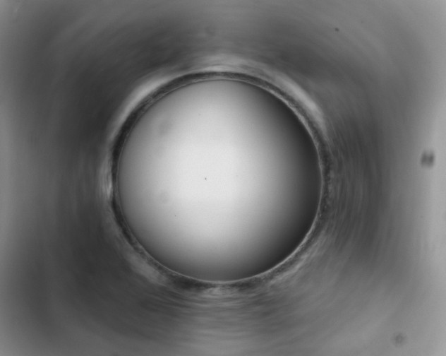 X0000102871368200808181456