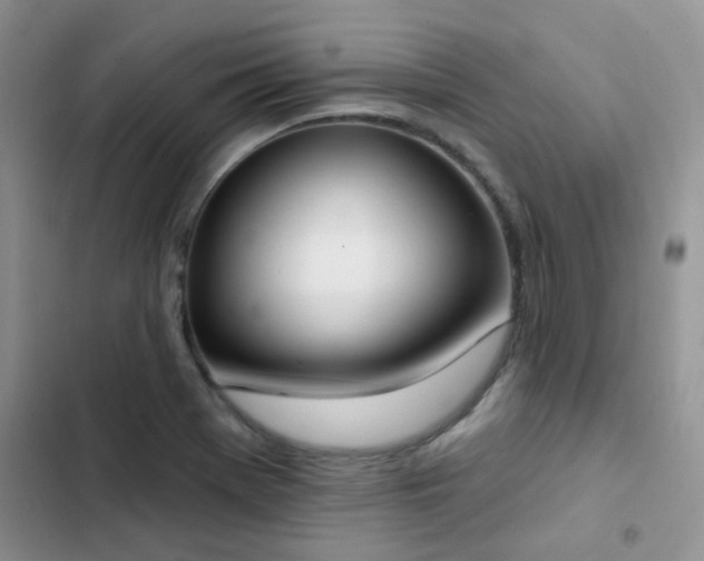 X0000102871369200808181456