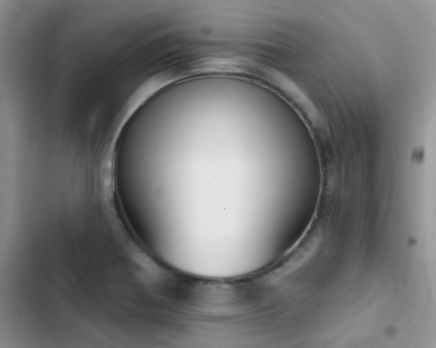 X0000102871370200808181456