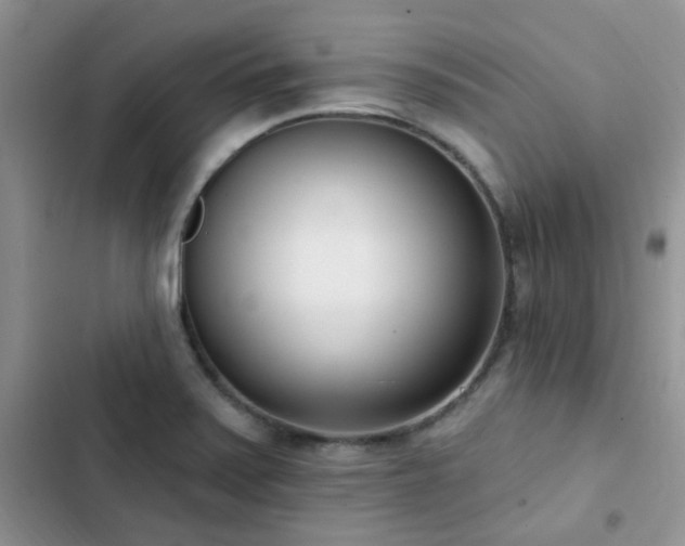X0000102871371200808181456