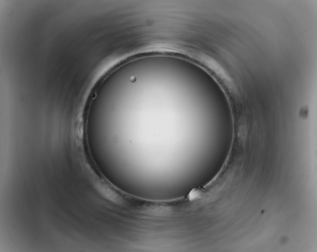 X0000102871372200808181456