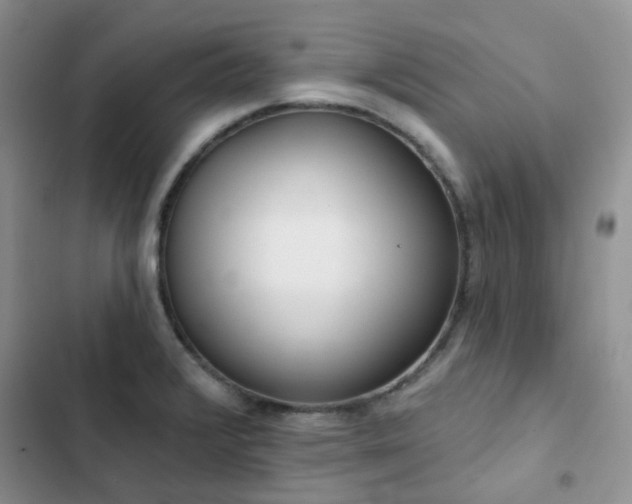 X0000102871376200808181456
