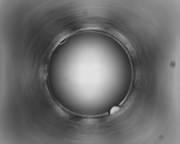 X0000102871377200808181456
