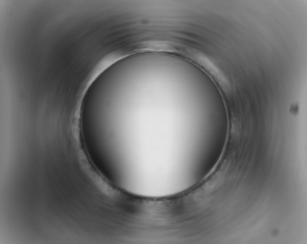 X0000102871378200808181456