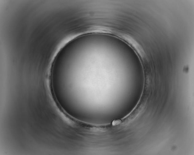 X0000102871379200808181456