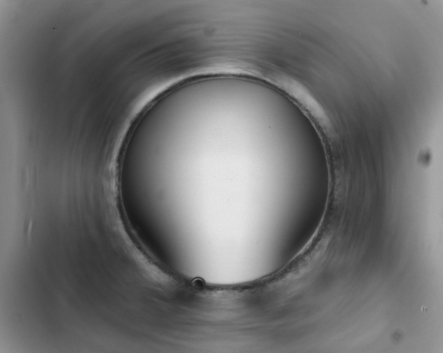 X0000102871380200808181456