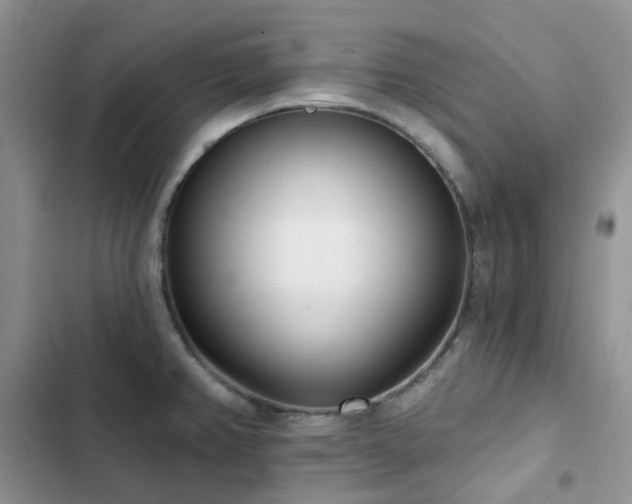 X0000102871382200808181456