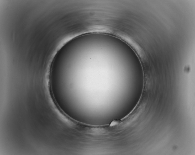 X0000102871383200808181455