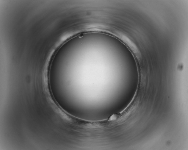 X0000102871384200808181455