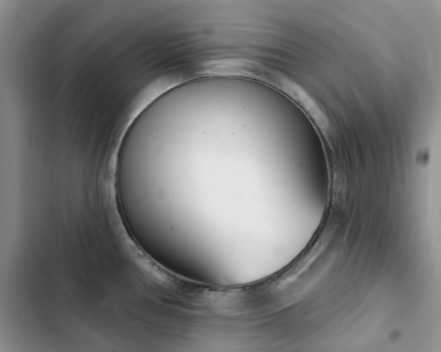 X0000102871386200808181455