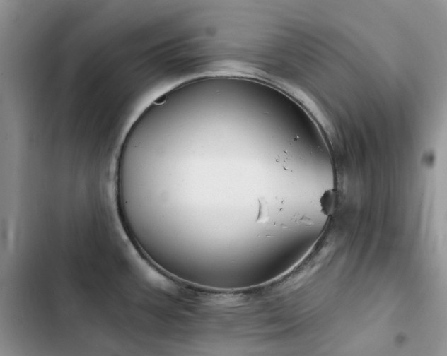 X0000102871387200808181455