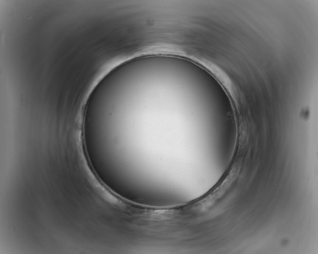 X0000102871390200808181455