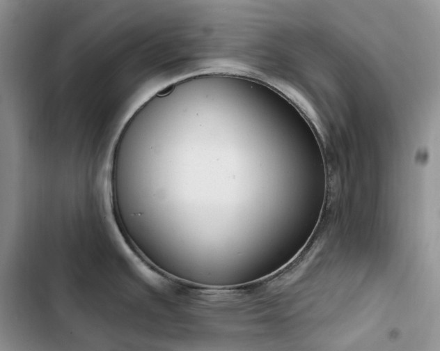 X0000102871391200808181455