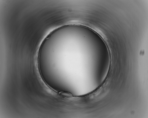 X0000102871392200808181455